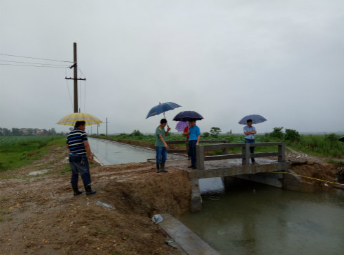 省袁管局：有效组织应对灌区强降雨天气