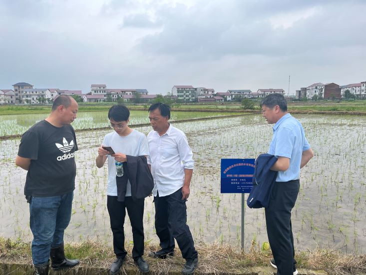 省袁管局扎实推进农田灌溉水有效利用系数测算分析工作